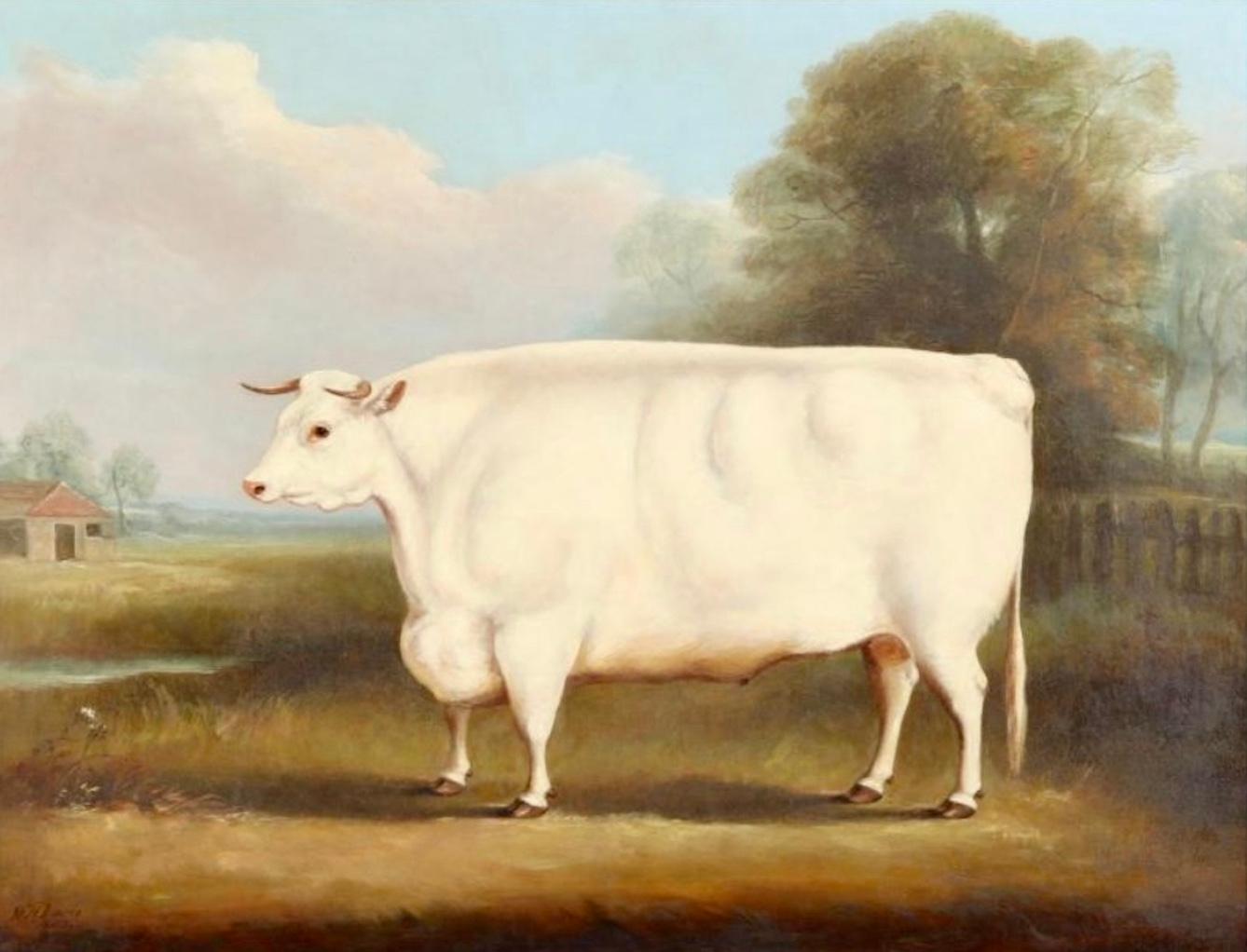 An oil on canvas. of a. short horned bull in landscape by William Henry Davis (British, circa 1783-1865), signed and dated 1853 at lower left, presented in a gilt frame. 
Canvas measures 21