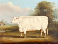 "Portrait of a Bull in Landscape"