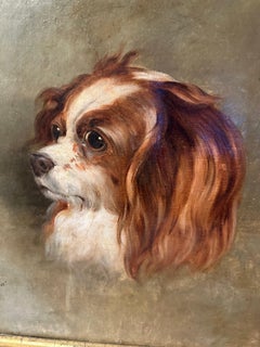 Portrait of a Dog