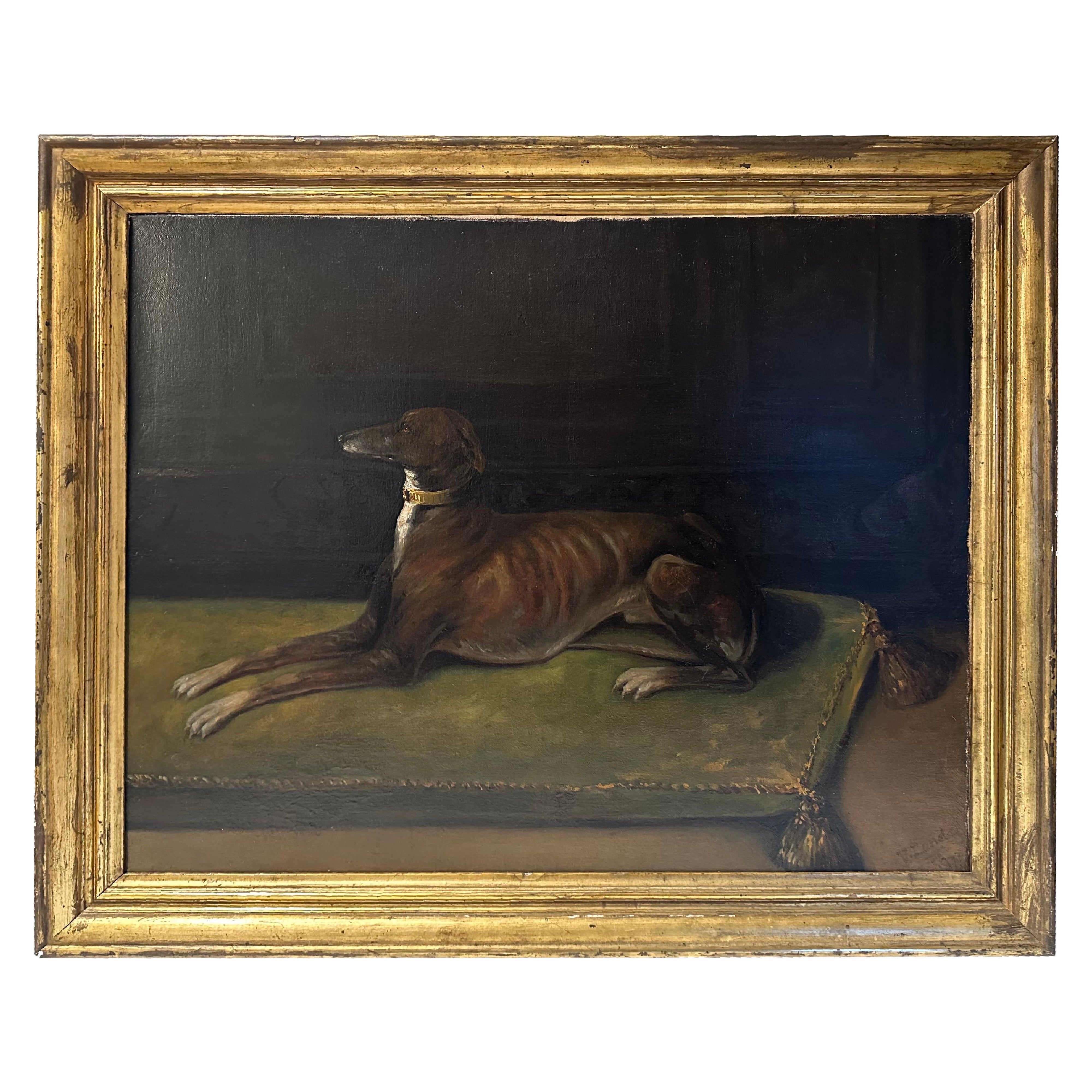 Porträt eines Hundes