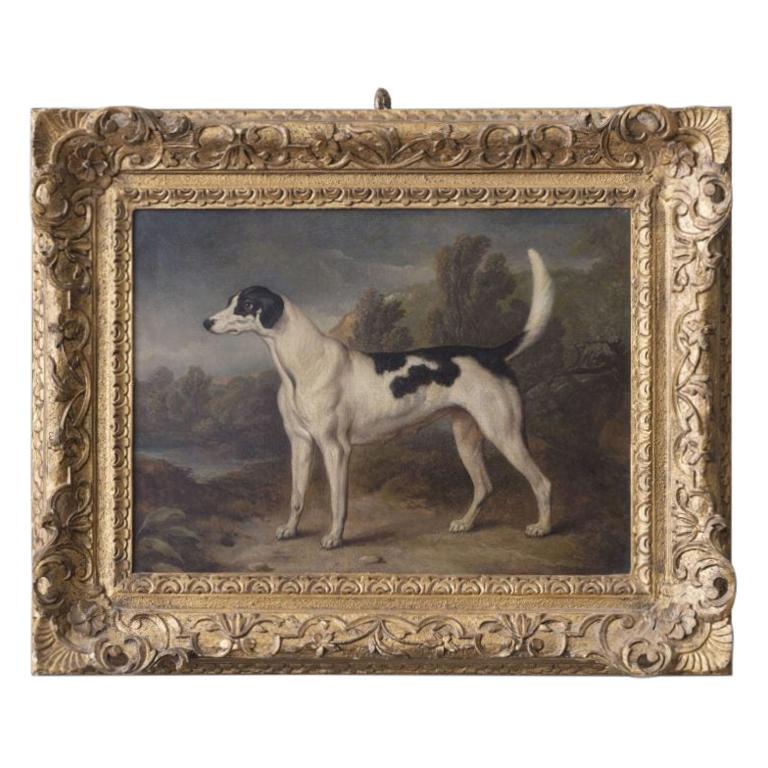 Portrait of a Hound within a Landscape For Sale