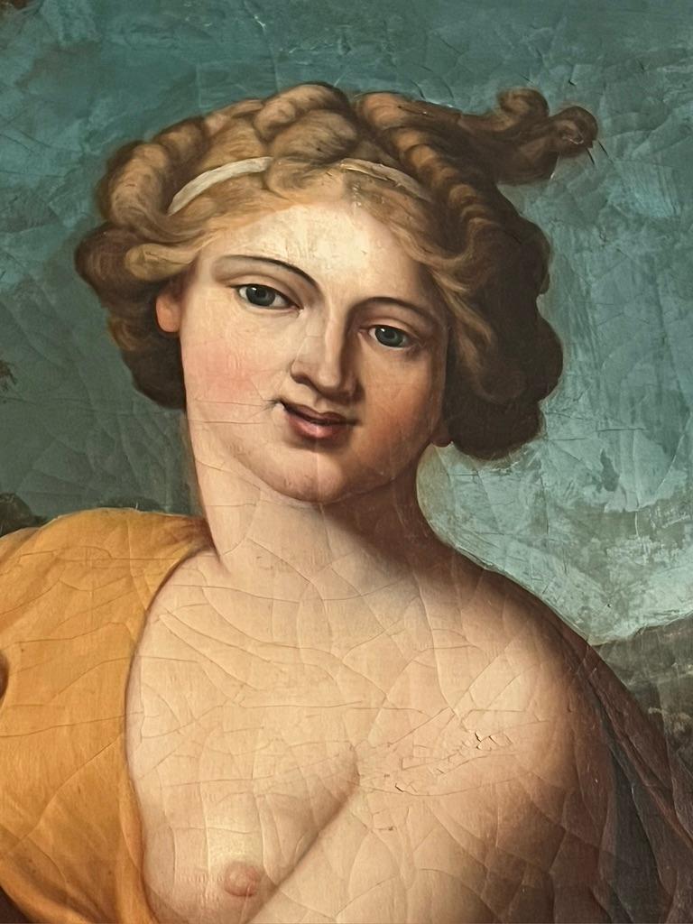 Portrait of a Lady as Pomona Budapest, circa 1810 For Sale 5