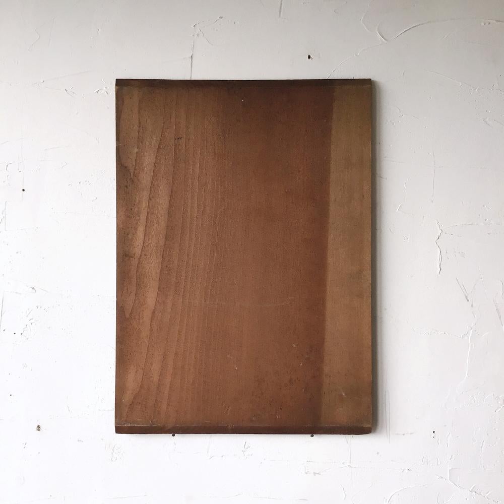 Wood Portrait of a Lady Japanese Vintage Oil Painting by Yoshito Shibata For Sale