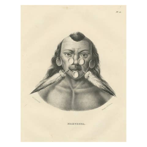 Portrait of a Member of the Maxuruna Amazon Tribe by Karl Joseph Brodtmann, 1836