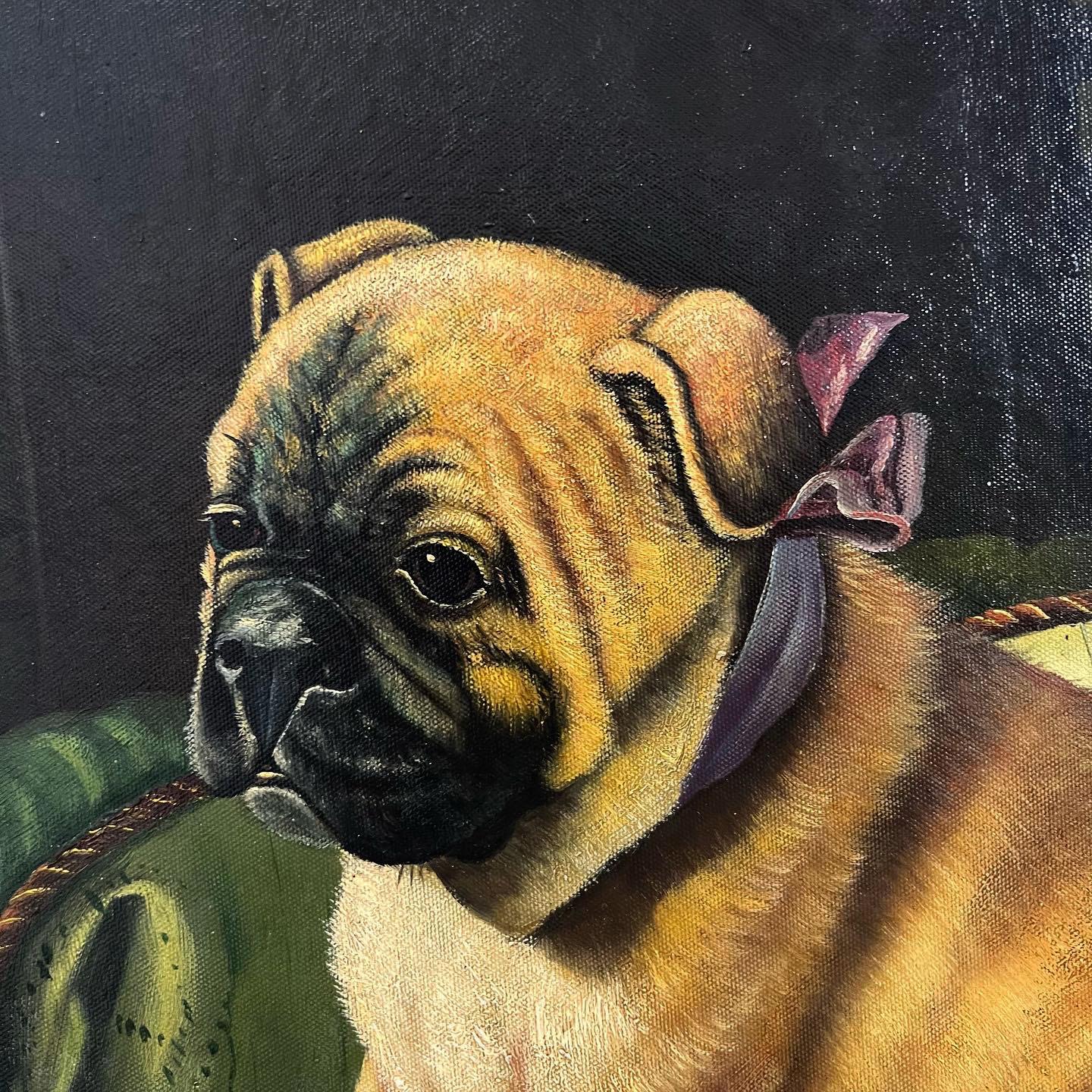 An oil of a very pampered pug, dated 1957, by the British artist Robert Dumont-Smith (1908-1994). Dumont-Smith exhibited with the Royal Society of British Artists in 1939, at Liberty of London and the Paris Salon and also the prestigious Foyles Art