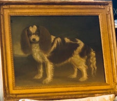 Portrait of a
Cavalier King Charles Spaniel, oil on canvas, 20th Century