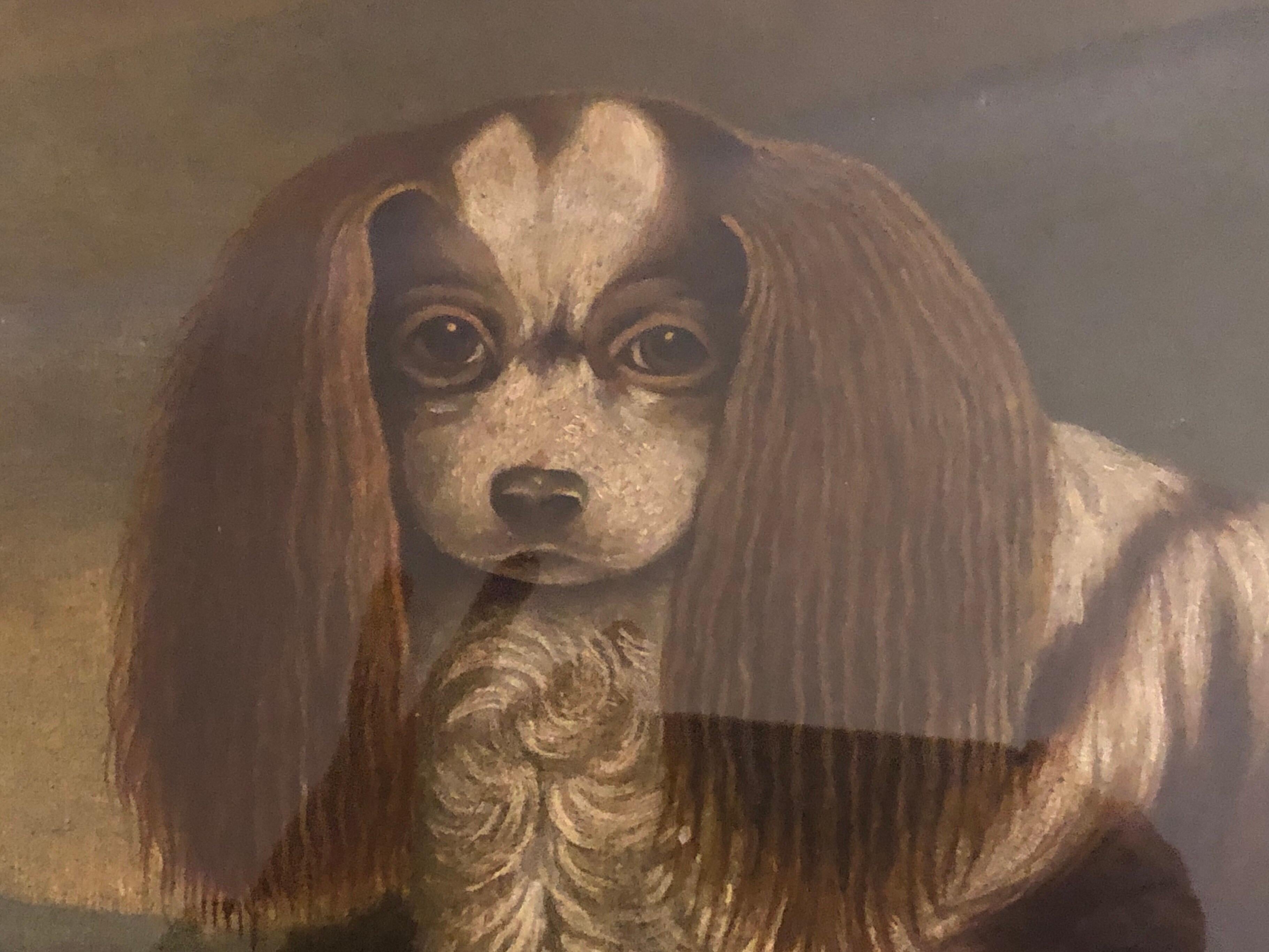 Edwardian Portrait of a
Cavalier King Charles Spaniel, oil on canvas, 20th Century
