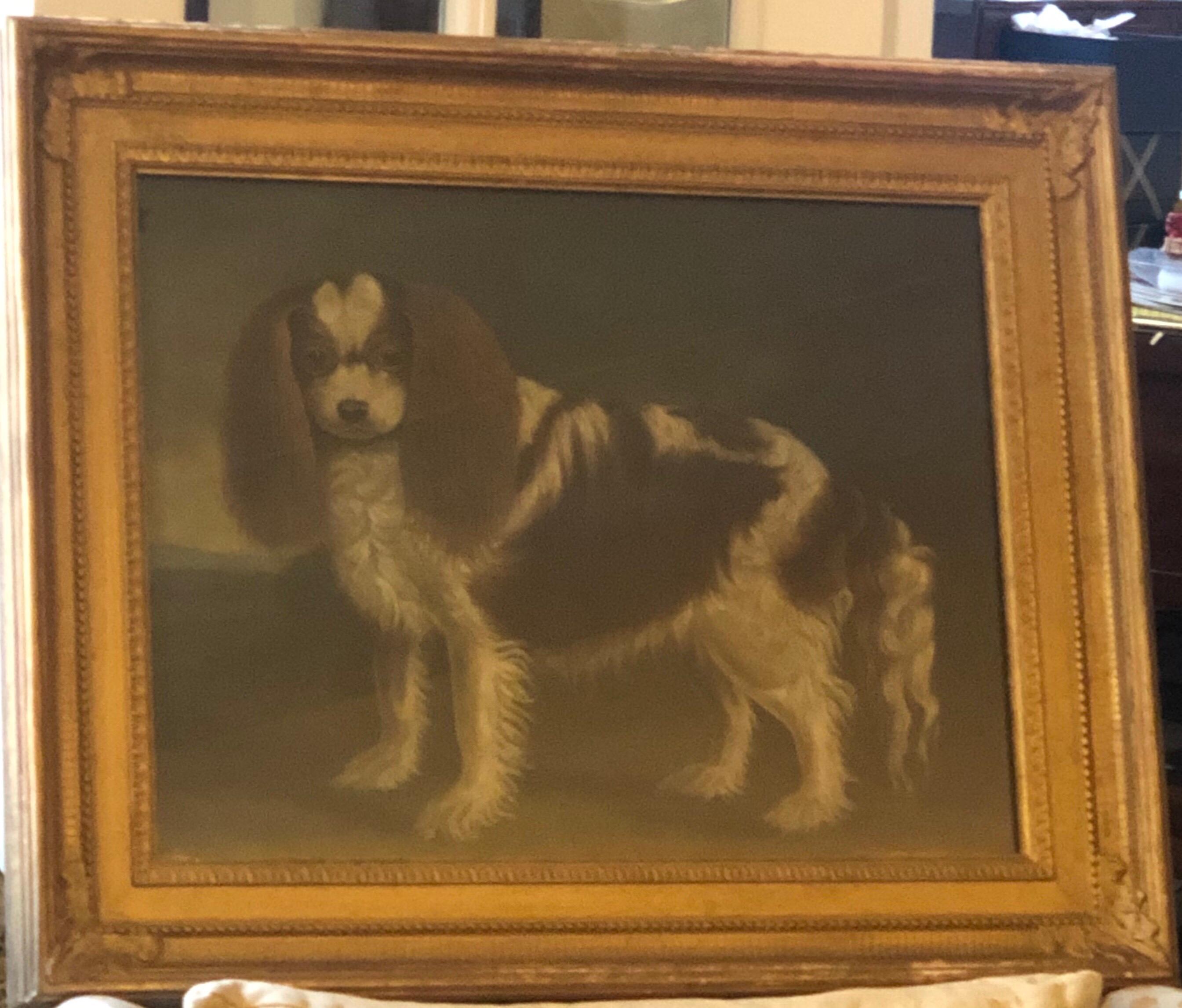 Portrait of a
Cavalier King Charles Spaniel, oil on canvas, 20th Century
 1