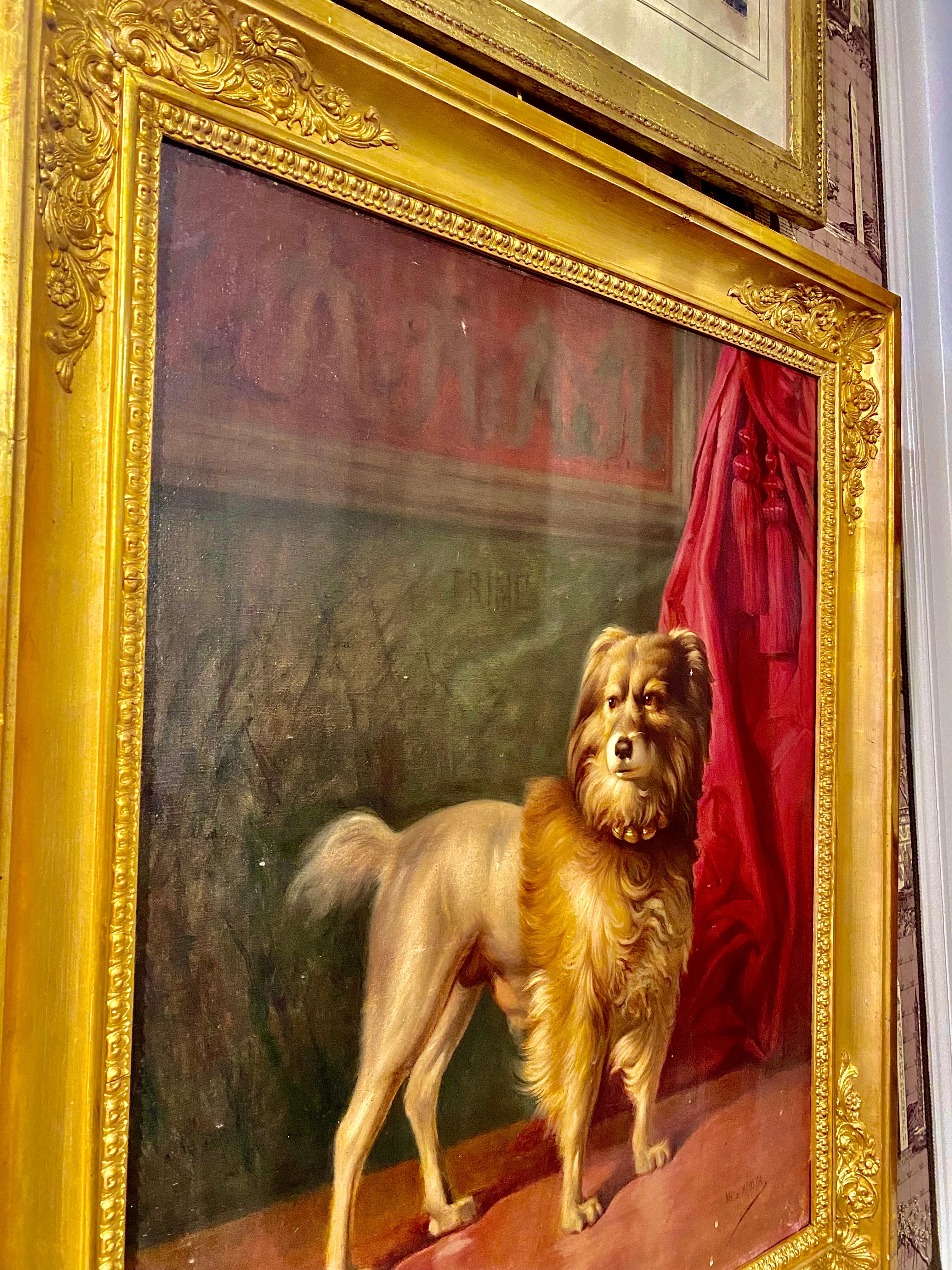 Portrait of Friel, Dog of the Dukes of Osuna, by Marcos Hiràldez Di Acosta, 1879 For Sale 11