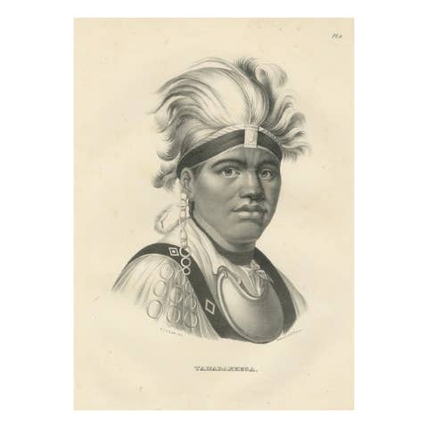 Portrait of Native American Tawadanega by Karl Joseph Brodtmann, 1836