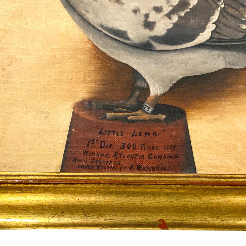 Folk Art Portrait of Racing Pigeon 