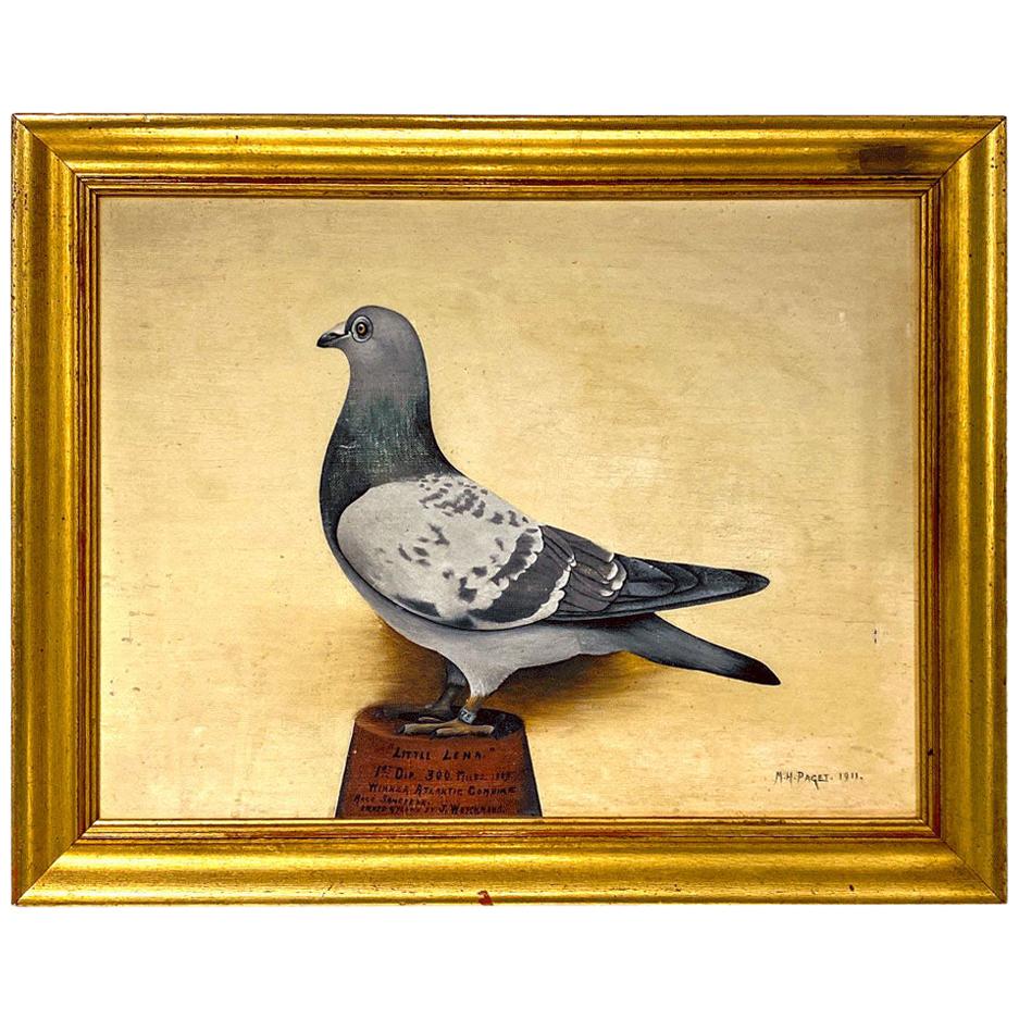 Portrait of Racing Pigeon "Little Lena", Signed and Dated, M.H. Paget, 1911