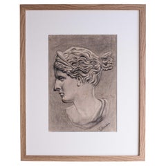 Estudio de retrato, dibujo de una cabeza o busto griego, años 40