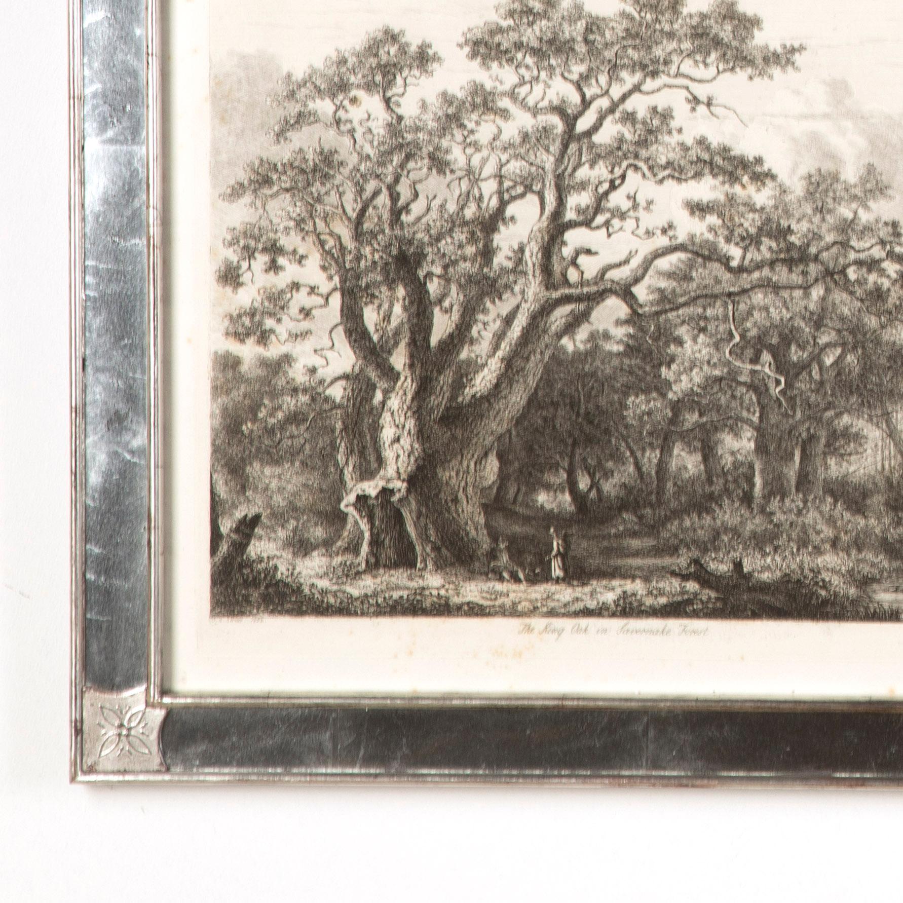 Silvered 'Portraits of Forest Trees' Engravings by Jacob George Strut