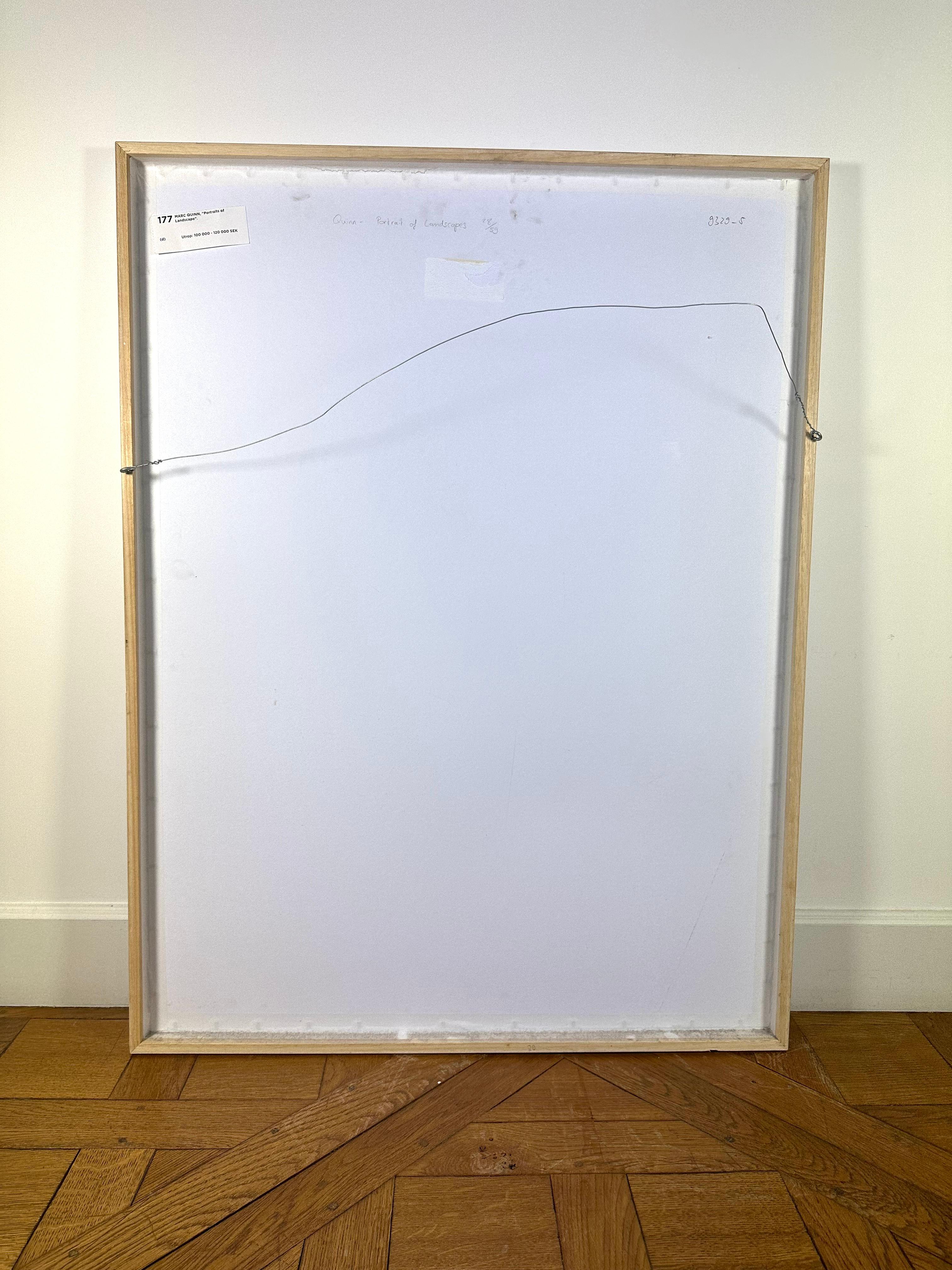 Portraits of Landscapes by Marc Quinn, 2007 pigment print signed and numbered 51/59  doom 100 cmX 75 cm framed with white border with an acrylic protective glass.
Good condition

3 other  Portraits of Landscapes by Marc Quinn, available in