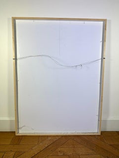 Portraits of Landscapes by Marc Quinn, 2007 pigment print signed and numbered