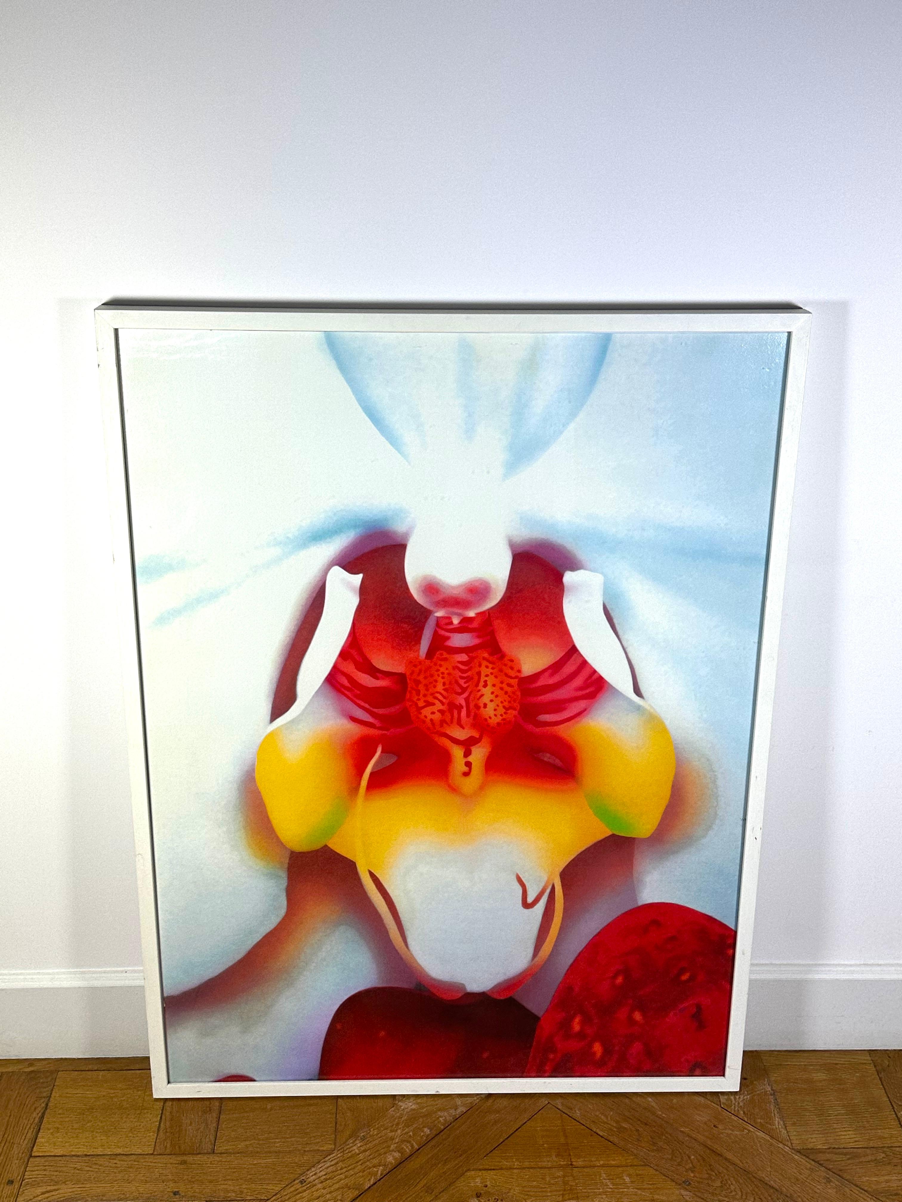 Portraits of Landscapes by Marc Quinn, 2007 pigment print signed and numbered 51/59  doom 100 cmX 75 cm framed with white border with an acrylic protective glass.
Good condition

3 other  Portraits of Landscapes by Marc Quinn, available in