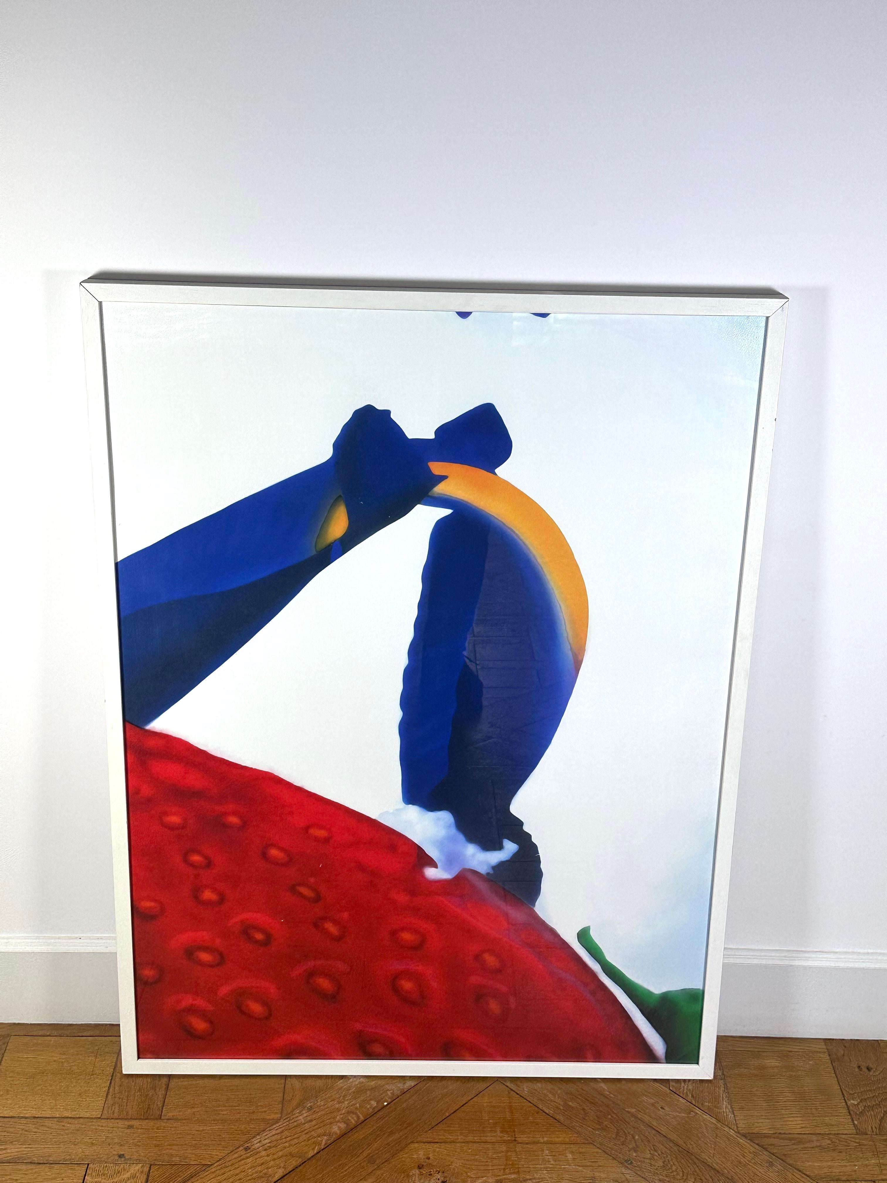 Contemporary Portraits of Landscapes by Marc Quinn, 2007 pigment print signed and numbered For Sale
