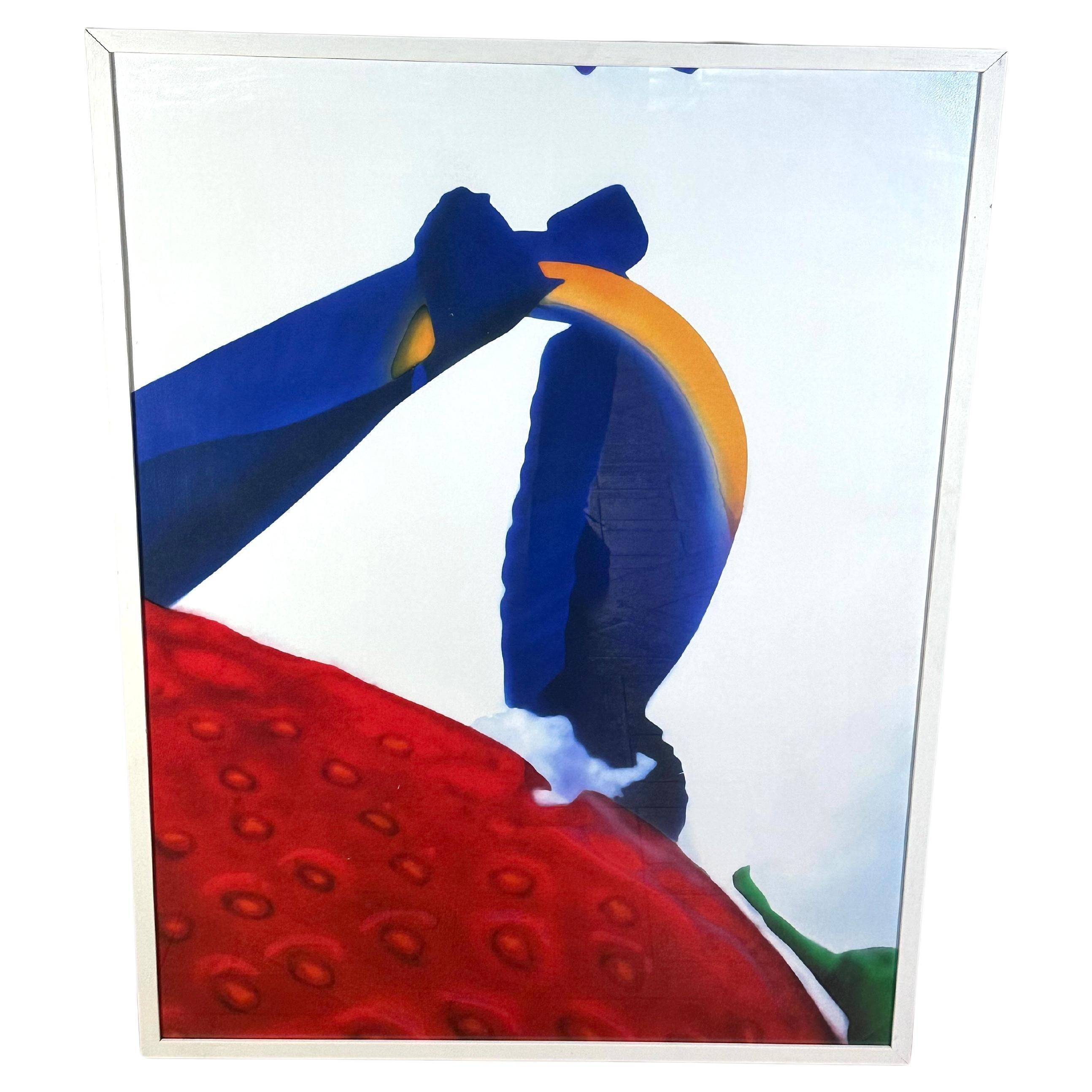 Ritratti di paesaggi di Marc Quinn, stampa su pigmento del 2007 firmata e numerata