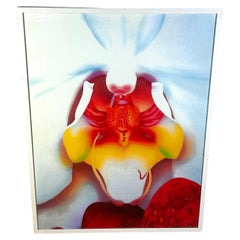Marc Quinn, Ritratti di paesaggi 2007 stampa su pigmento firmata e numerata