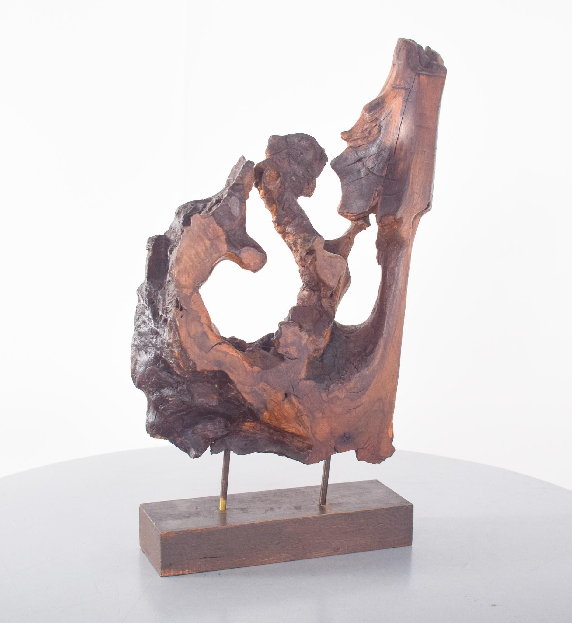 Scultura astratta, in legno. Impressionante esempio di arte organica e naturalistica. Si tratta di un pezzo di radice di noce, accuratamente selezionato e montato su una base rettangolare in legno, sostenuta da due discrete aste metalliche. La sua