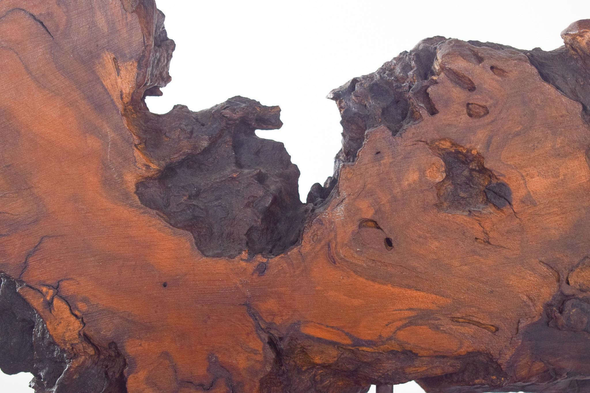Scultura astratta, in legno. Questa scultura decorativa in legno di noce si distingue per le sue forme organiche e la ricca texture della superficie naturale. Composto da un frammento di radice, il pezzo mantiene le curve e le cavità così come sono