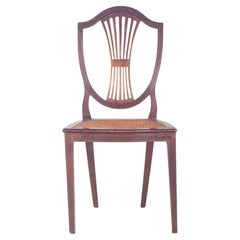 Dining Room Chairs
