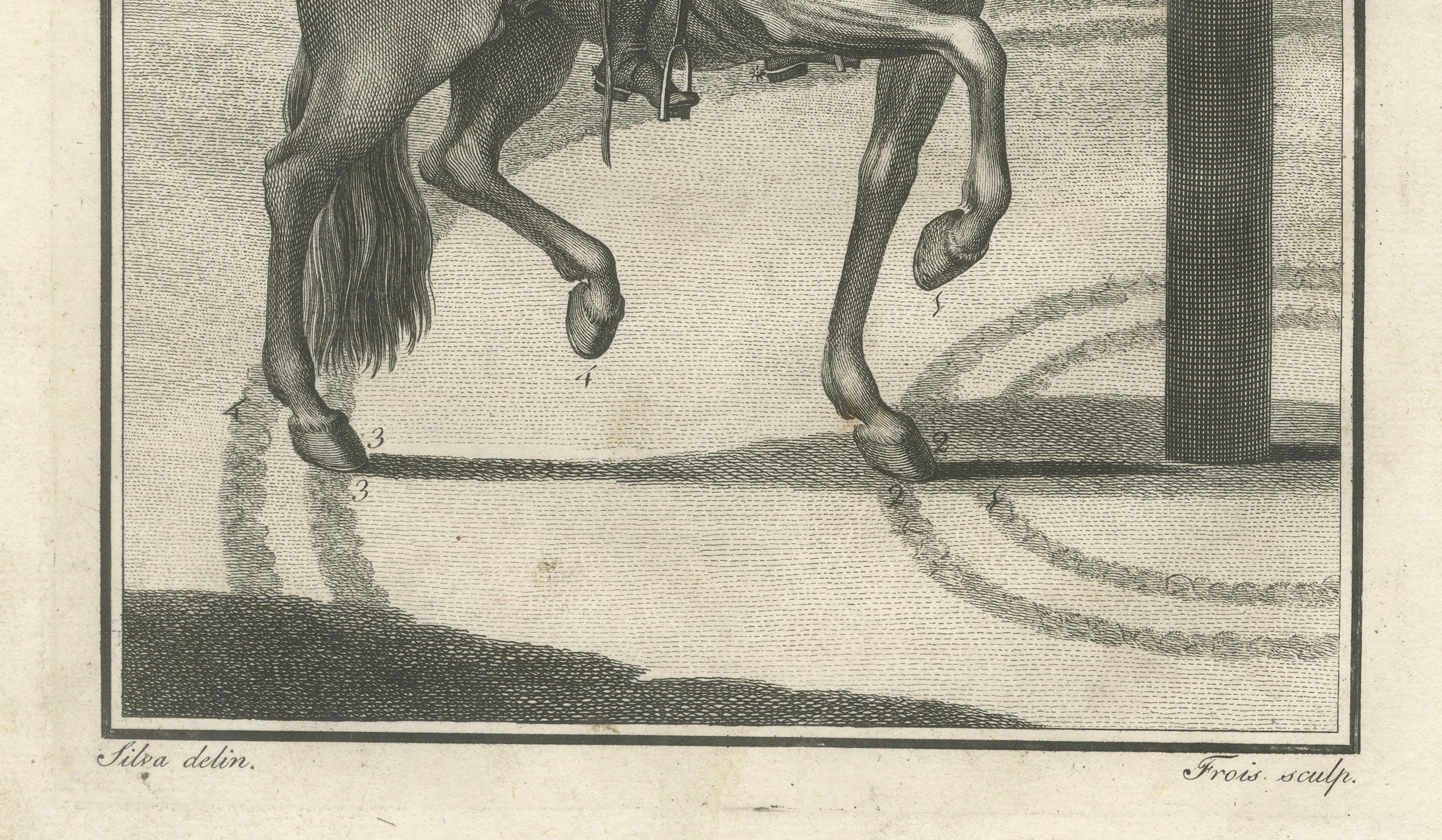Portuguese Dressage & Piaffe Engravings — Classical Horsemanship, 1790