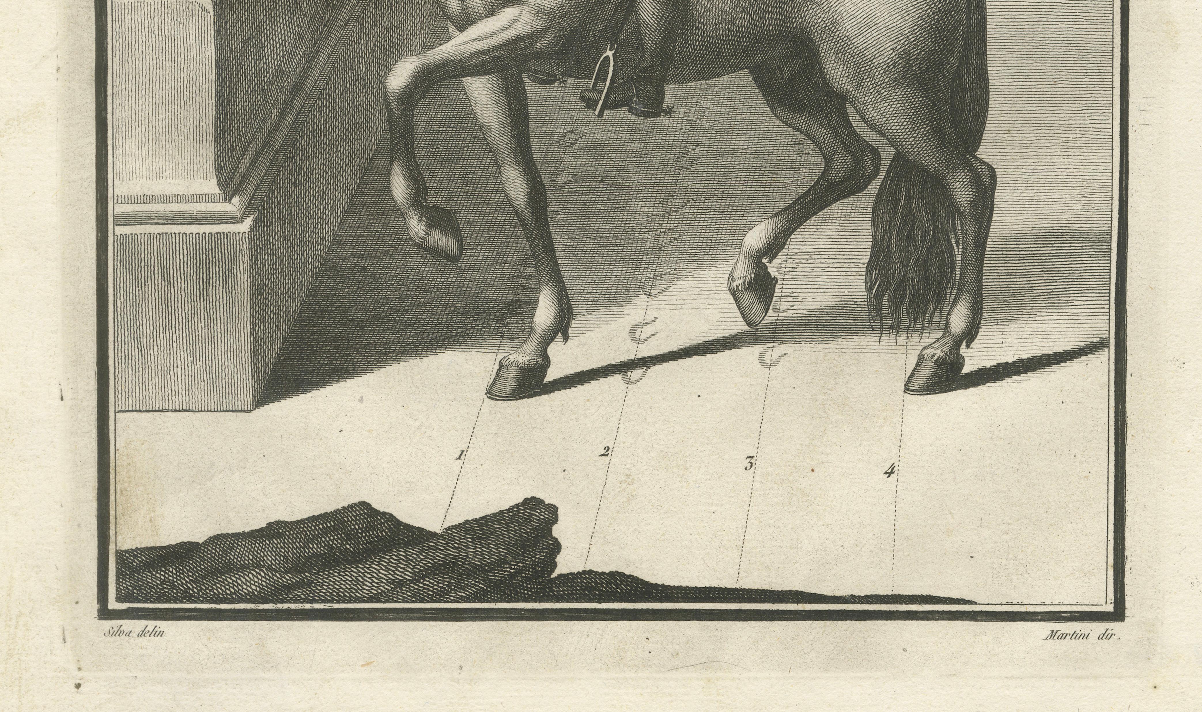 Portuguese Dressage & Piaffe Engravings — Classical Horsemanship, 1790