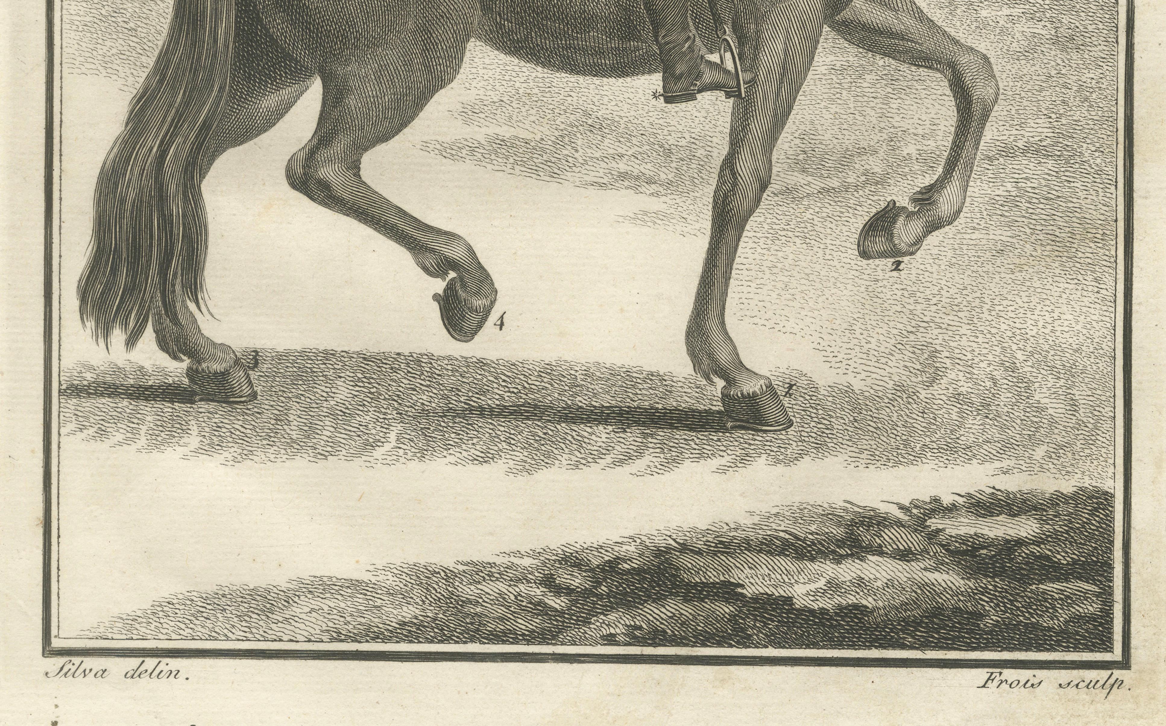 Portuguese Dressage & Piaffe Engravings — Classical Horsemanship, 1790