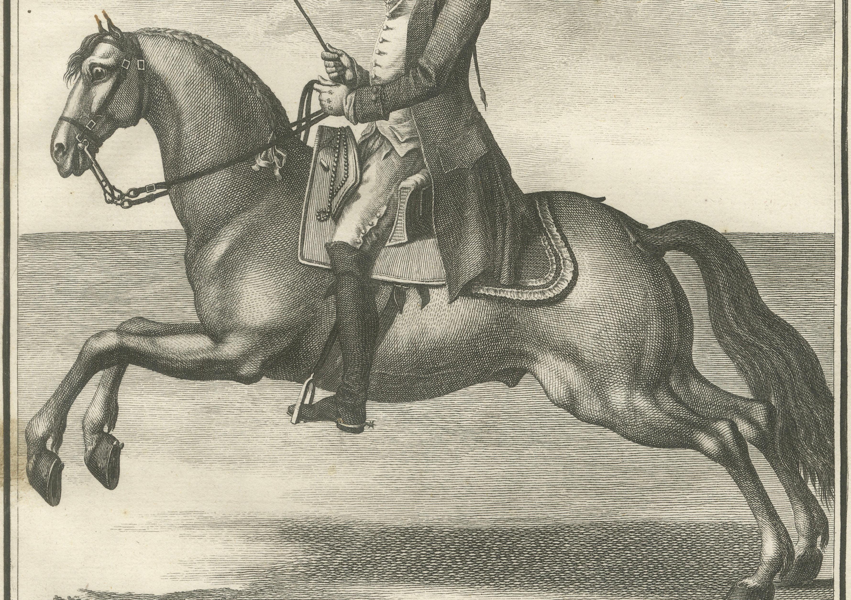 Portuguese Equestrian Training Engravings — Baroque Horsemanship, 1790