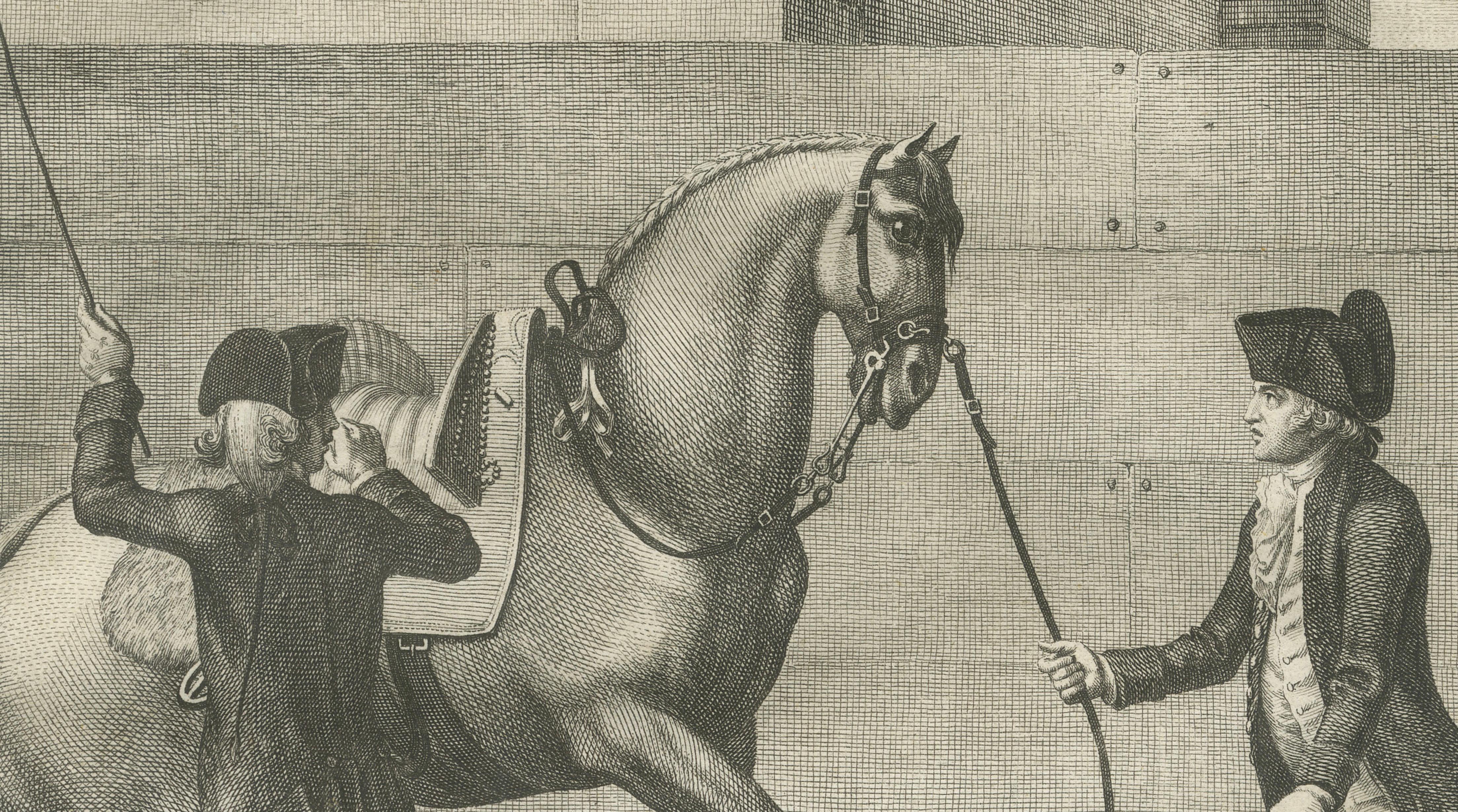 Portuguese Equestrian Training Engravings — Baroque Horsemanship, 1790