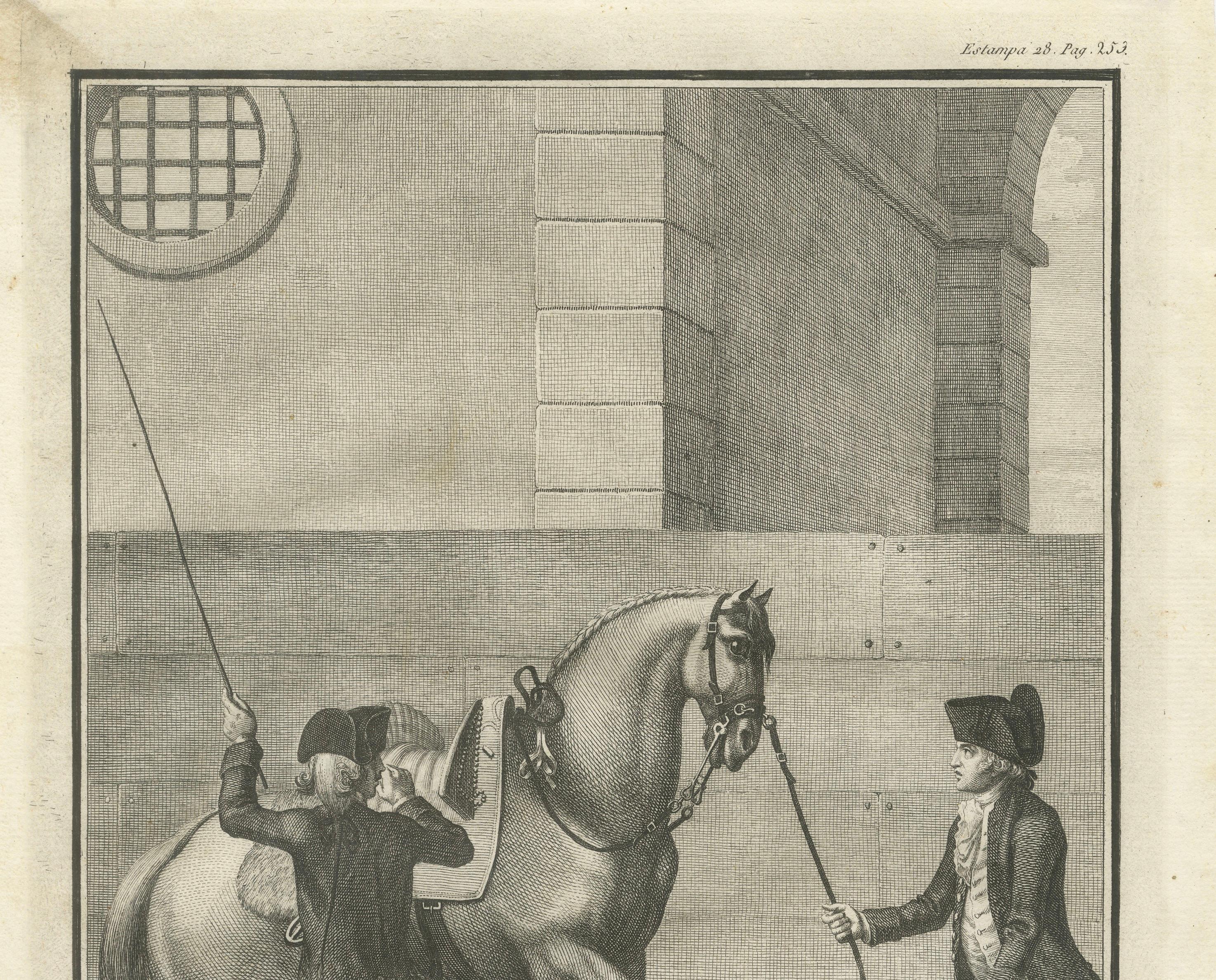 Portuguese Equestrian Training Engravings — Baroque Horsemanship, 1790
