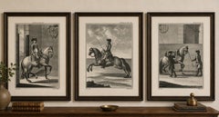 Portuguese Equestrian Training Engravings — Baroque Horsemanship, 1790