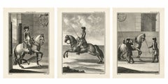 Portuguese Equestrian Training Engravings — Baroque Horsemanship, 1790