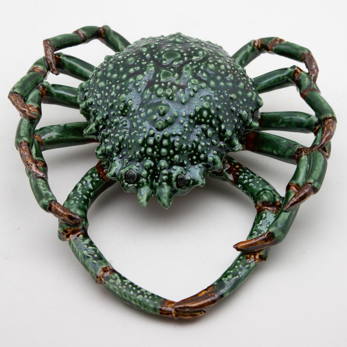 green spider crab