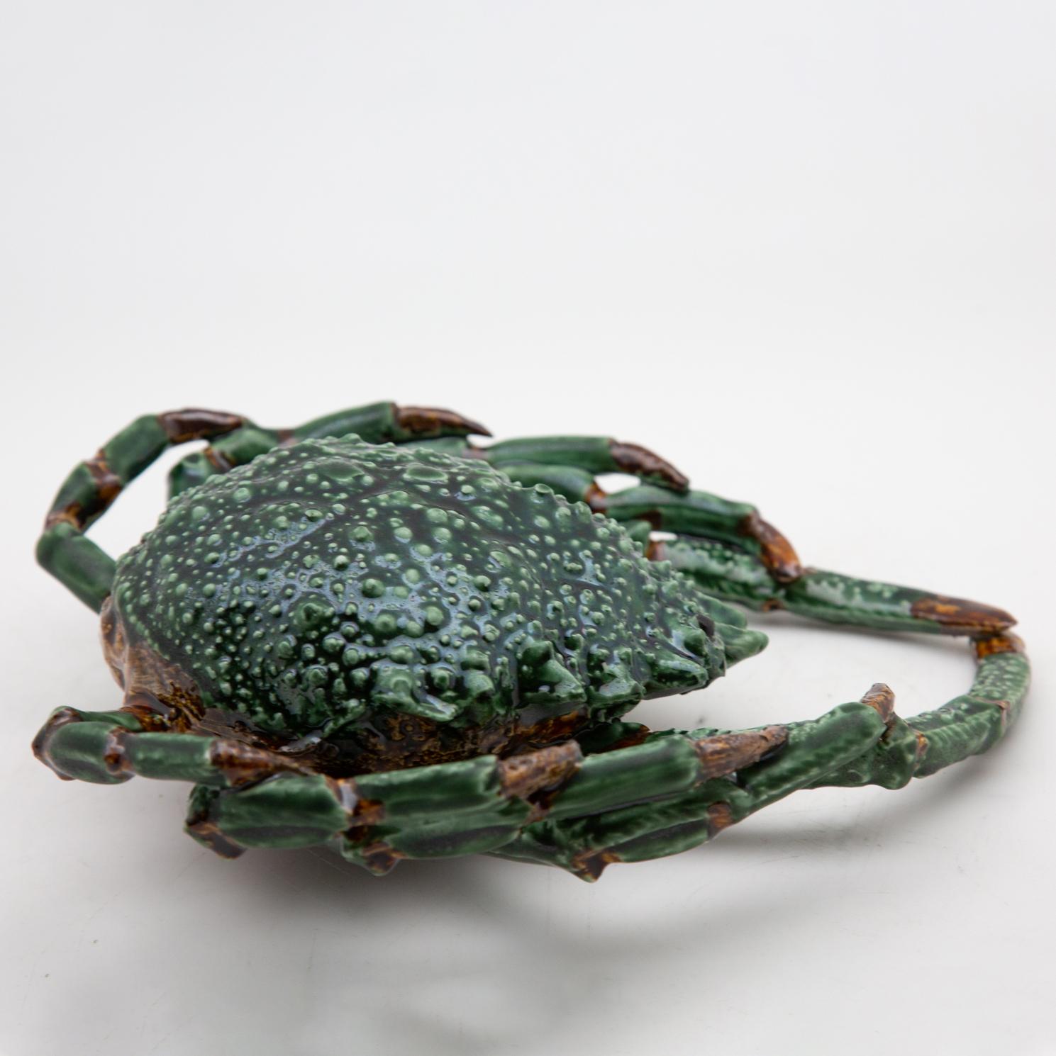 spider crab venice
