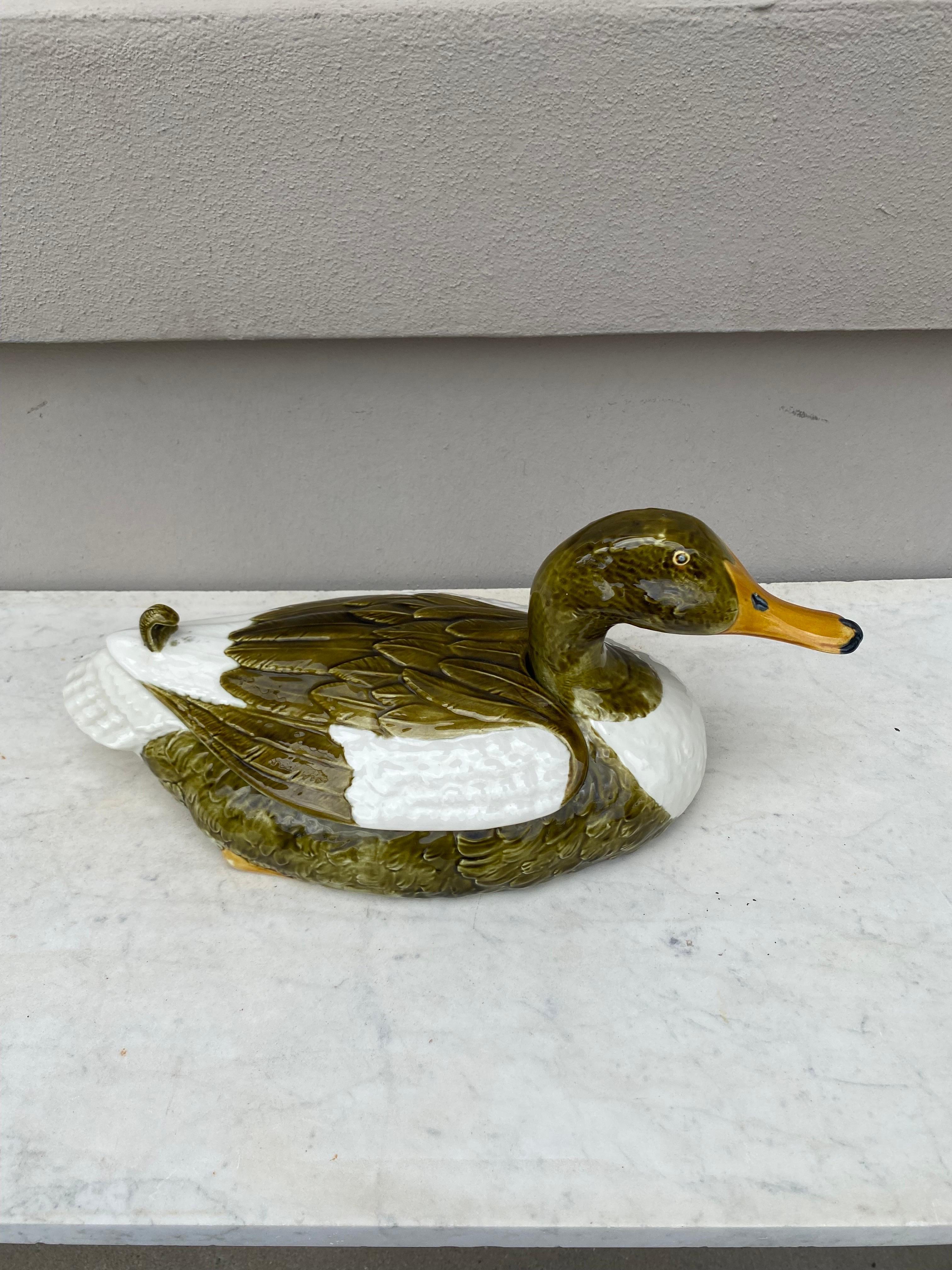 Portuguese large Majolica duck Tureen box Secla.
Measures: Width / 18.3 inches.