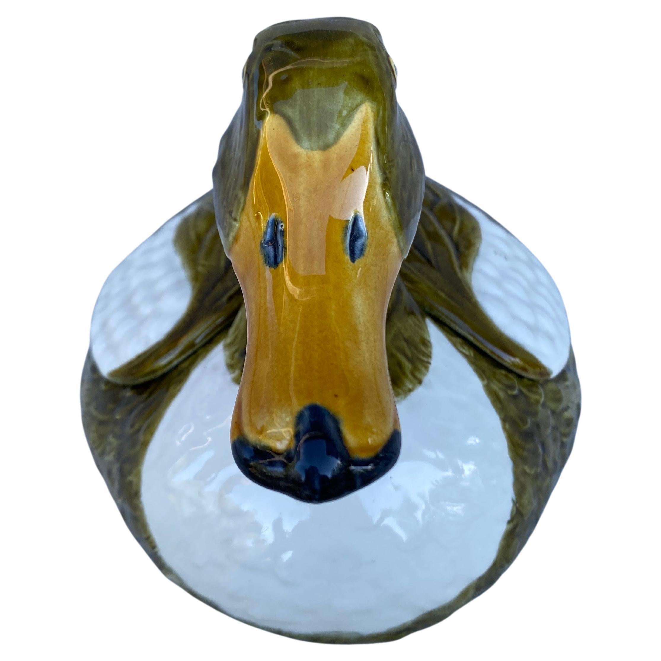 duck in portuguese