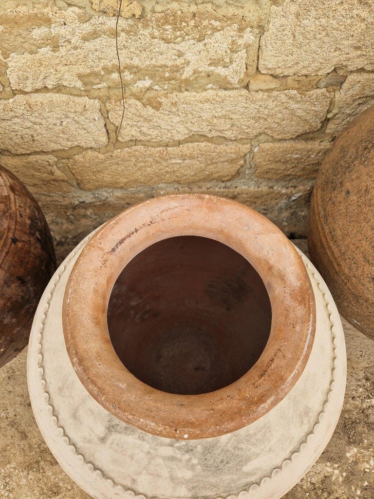 Antique Large Olive Oil Garden Pot For Sale at 1stDibs