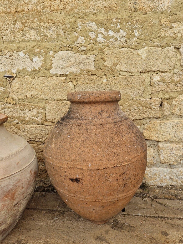 Antique Large Olive Oil Garden Pot For Sale at 1stDibs