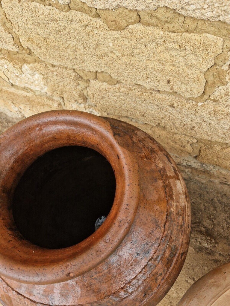 Antique Large Olive Oil Garden Pot For Sale at 1stDibs