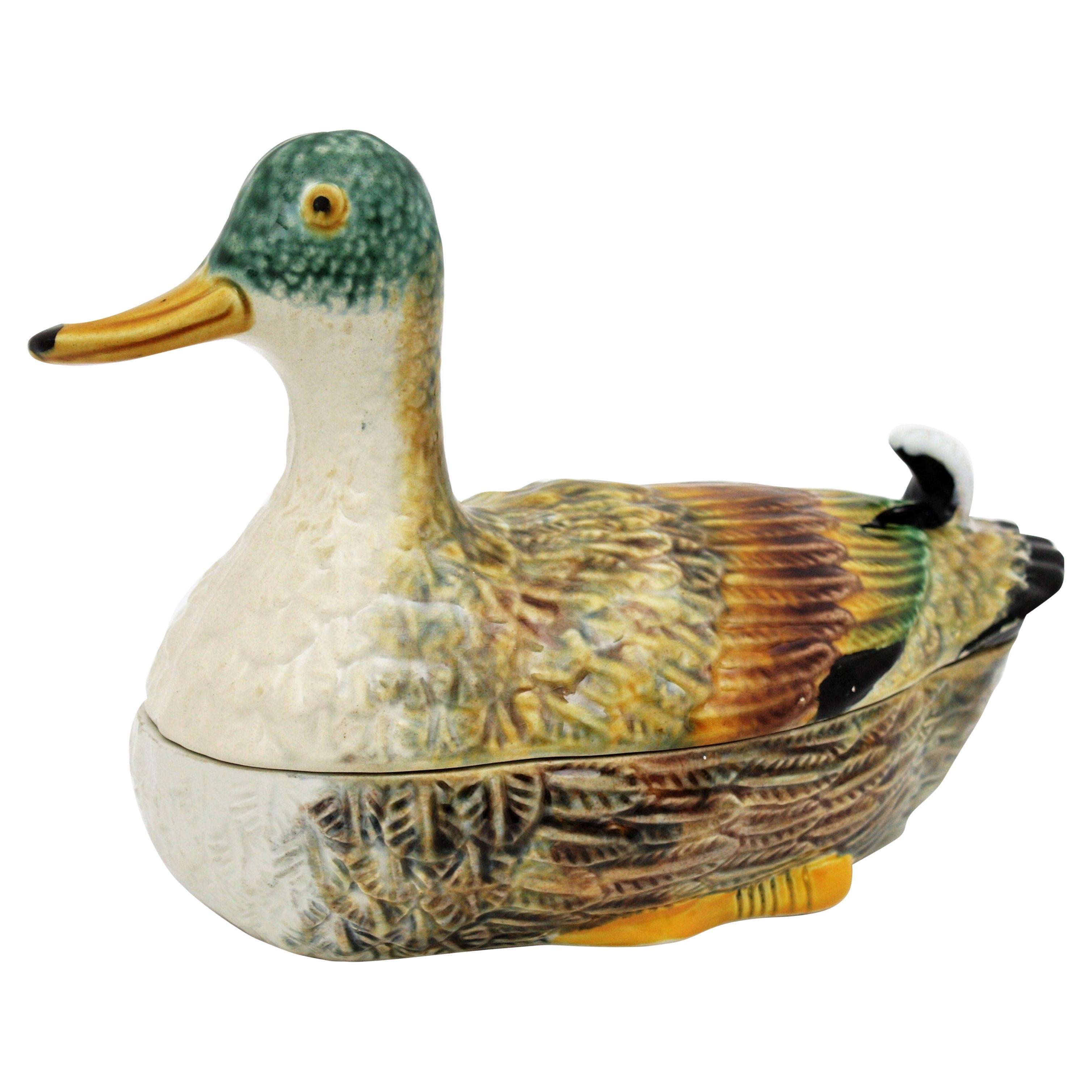 Soupière à figure de canard en céramique majolique émaillée de couleur marron et crème avec des accents de noir, de vert et de jaune. Portugal, années 1960.
Fabriqué par E.Subtil Portugal et marqué sur la base.
Utilisez-le pour servir le foie gras