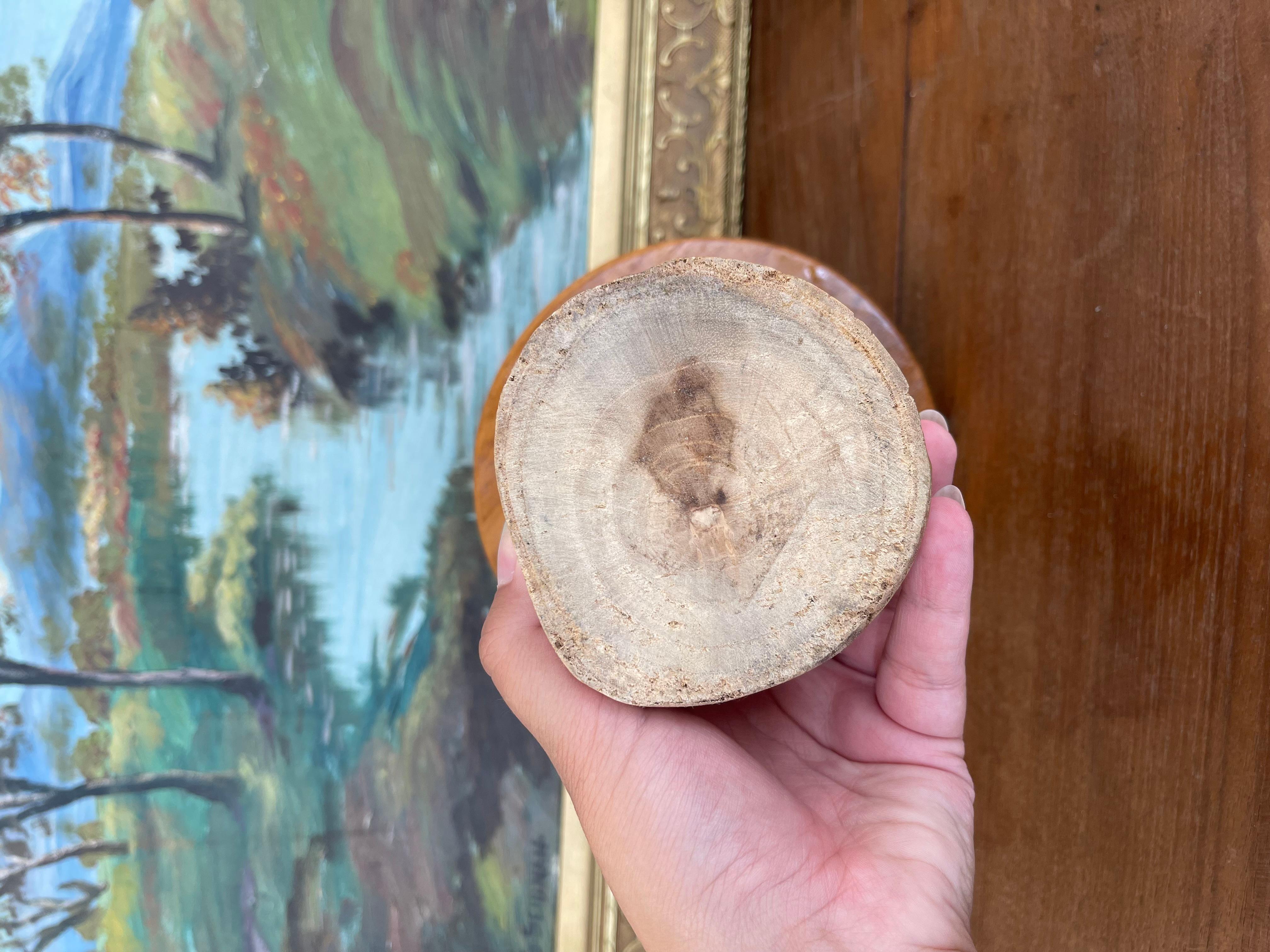 Sculpture en forme de champignon en bois massif probablement tournée à la main, art populaire moderne du milieu du siècle en vente 3