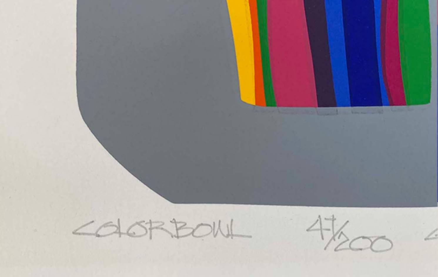Postmoderner Raumteiler „Color Bowl“ aus Seide mit Siebdruck von Daniel Gelakoska, datiert 1986 im Zustand „Gut“ im Angebot in Minneapolis, MN
