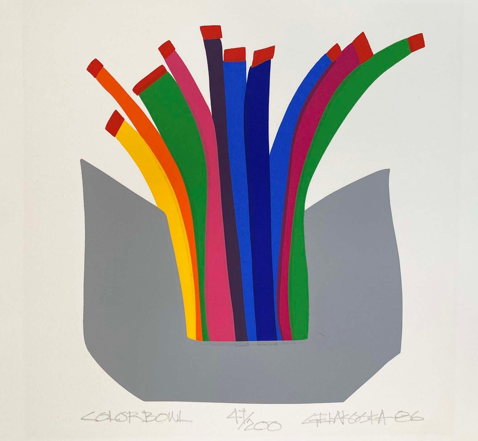 Postmoderner Raumteiler „Color Bowl“ aus Seide mit Siebdruck von Daniel Gelakoska, datiert 1986 im Angebot 1