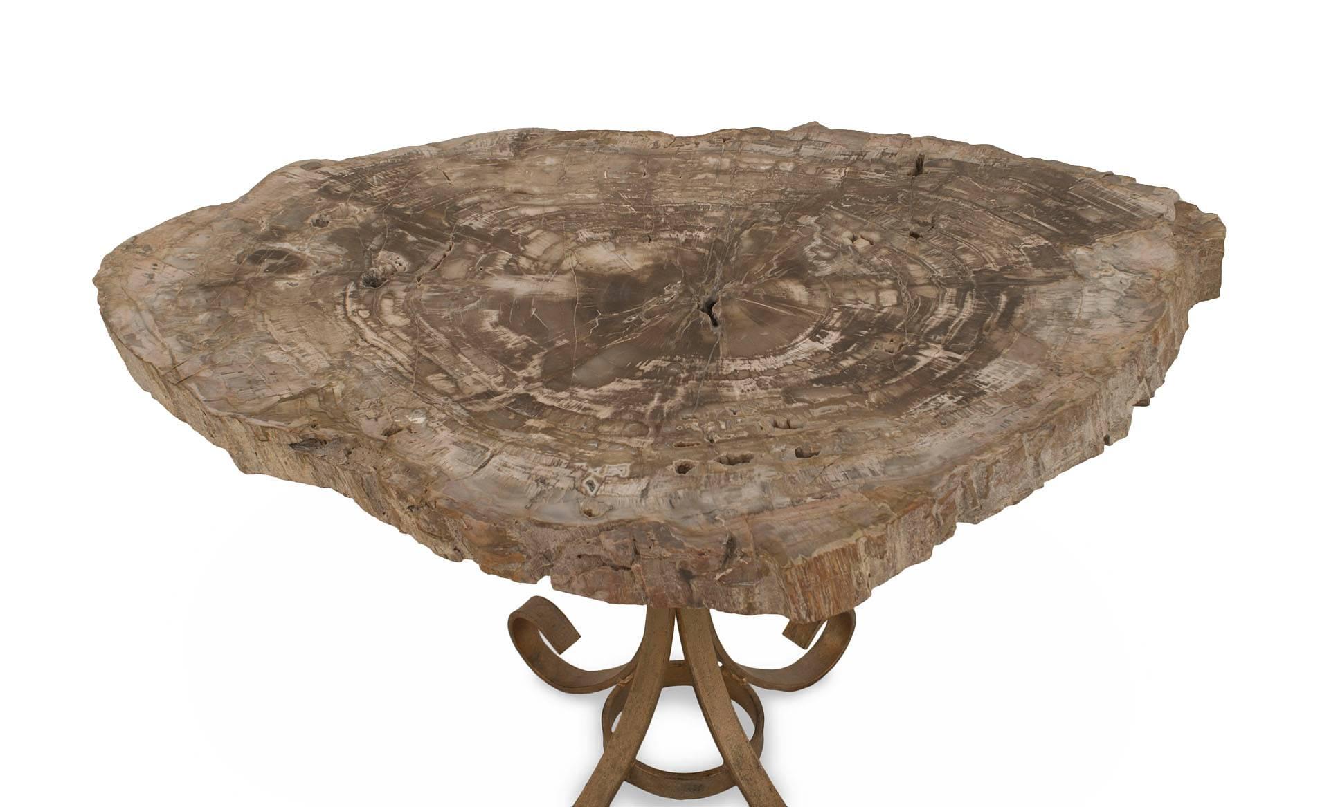 Post-War Design low table with a petrified wood free form top resting on a gold painted metal base with 4 scroll legs
