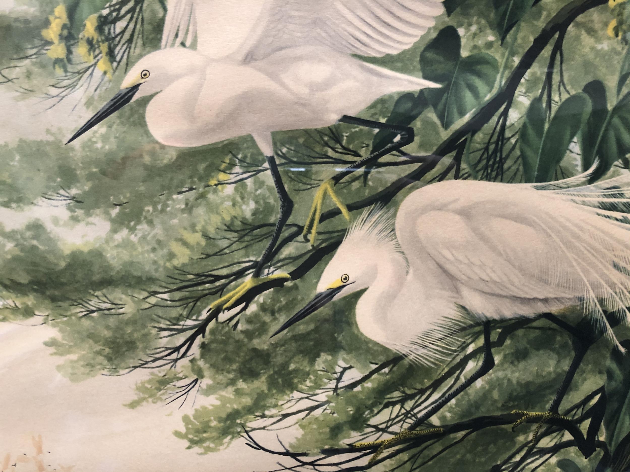 Mid-Century Modern Post-War Tropical Cranes Print in Original Frame For Sale