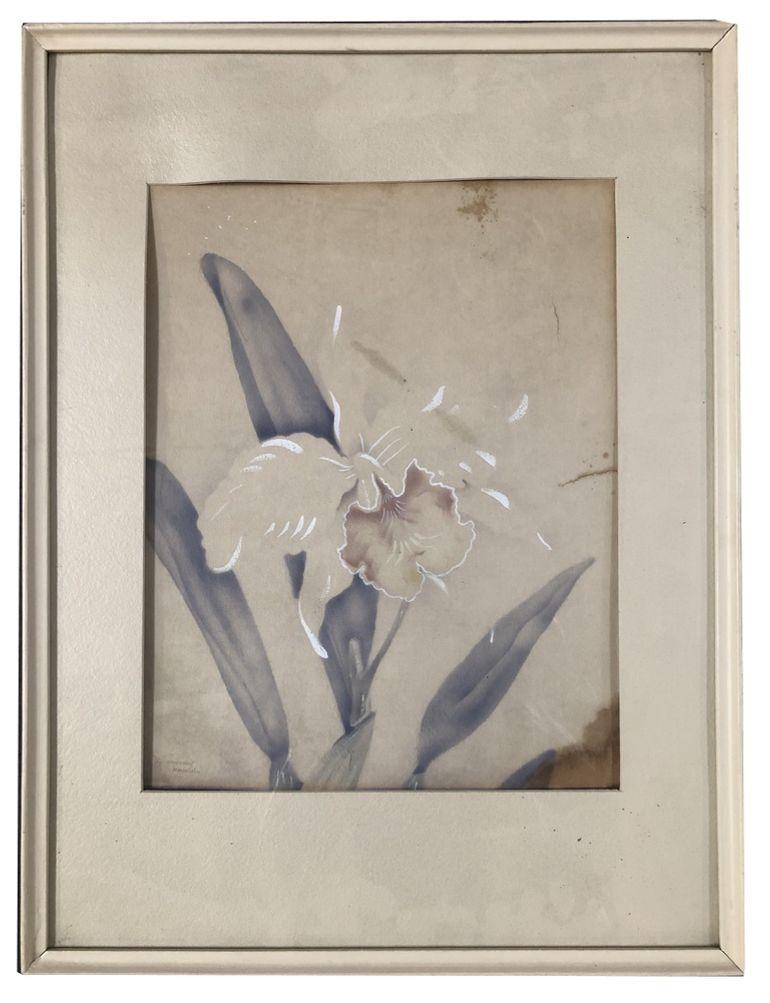 Vintage Wood Framed Painting with White Orchid Motif, by Tip Freeman

This painting by American artist Tip Freeman depicts a White Orchid. This artwork has a white flower ( white orchid) against a light-colored background.

Tip Freeman developed a