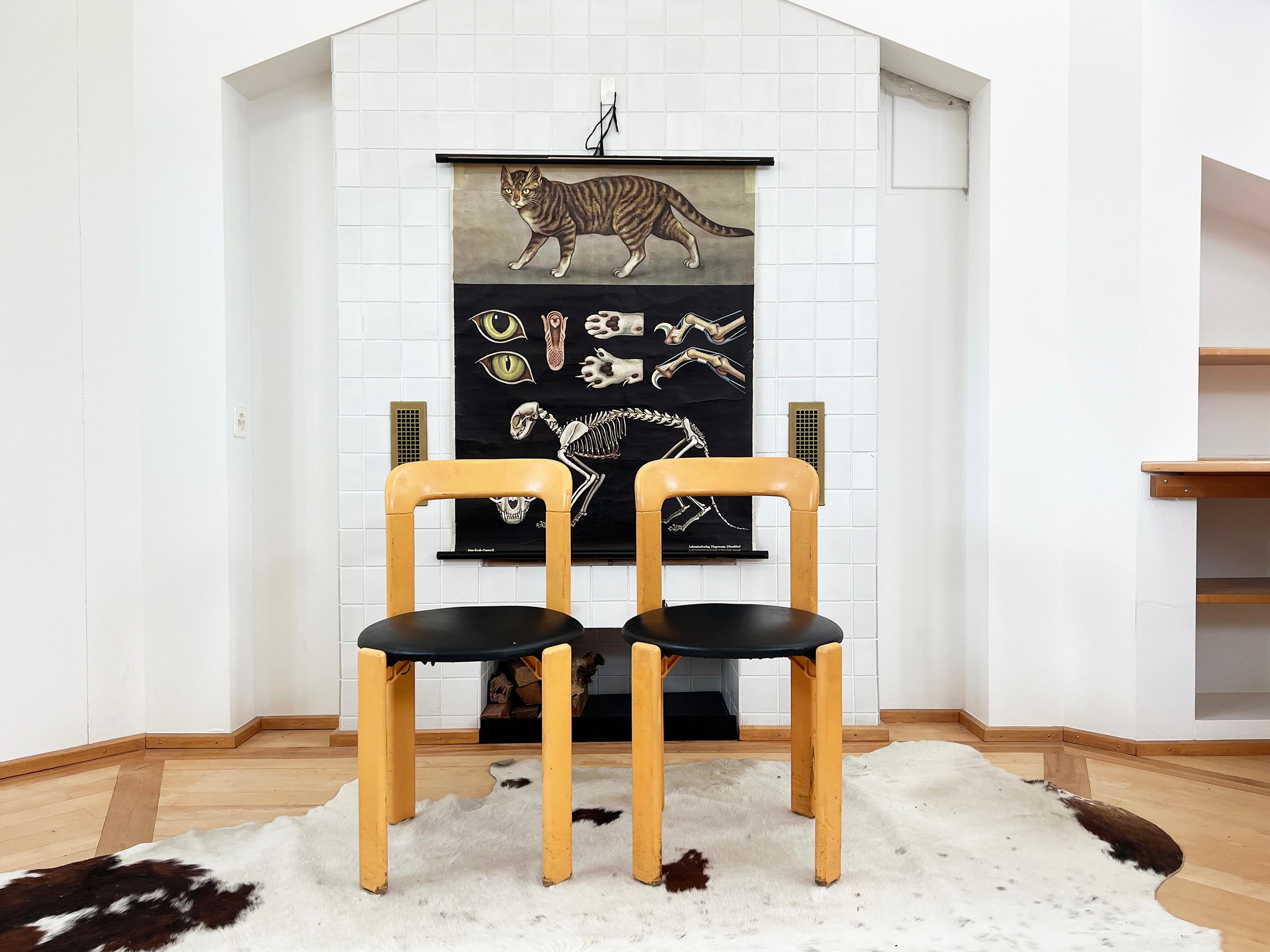 Mid-Century Modern Postmodern 1970s Pair of 2 Chairs by Bruno Rey for Dietiker, 1970s For Sale